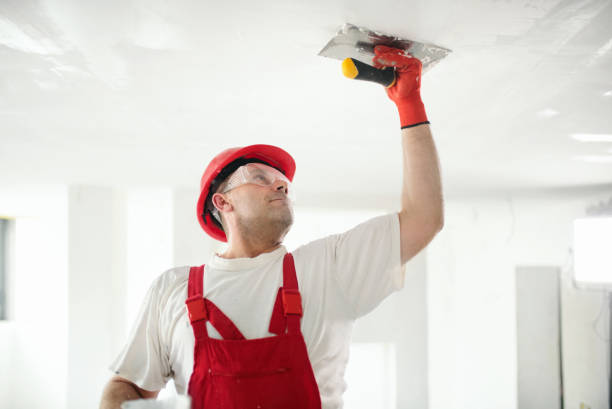 Best Residential Painting  in Cleveland, NC